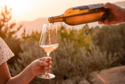 Sunset wine tasting in vineyard