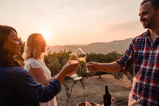 Sunset wine tasting in vineyard - Wine, olive oil, and homemade bread