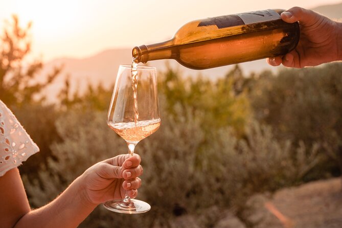 Sunset wine tasting in vineyard - A gentle walk through Vardia’s old woodland