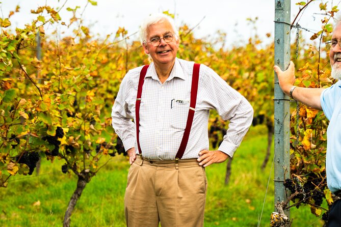 Sussex Vineyard & Winery Bus Tour on Iconic Vintage London Bus - A Sussex picnic with quiche, chutney, and cake