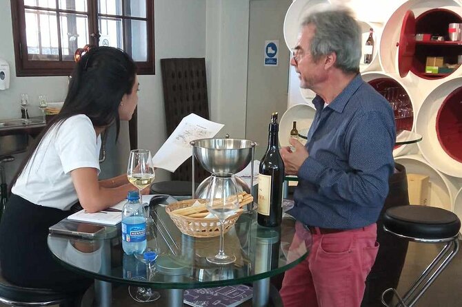 Swiss Vineyard Wine Tasting Tour in Vaud - A wine day with a castle in the middle