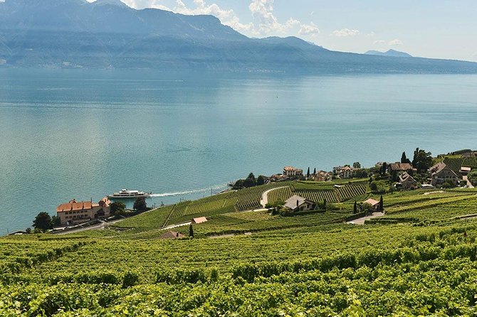 Swiss Wine Tasting at Lavaux Vineyards: Private Trip from Geneva - Entering the Lavaux vineyard terraces