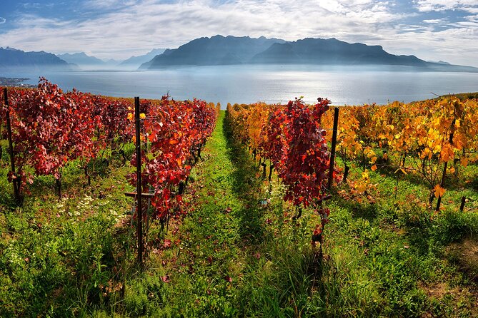 Swiss Wine Tasting at Lavaux Vineyards: Private Trip from Geneva - The views around Lake Geneva