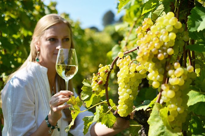 Swiss Wine Tasting at Lavaux Vineyards: Private Trip from Geneva - What to confirm before departure