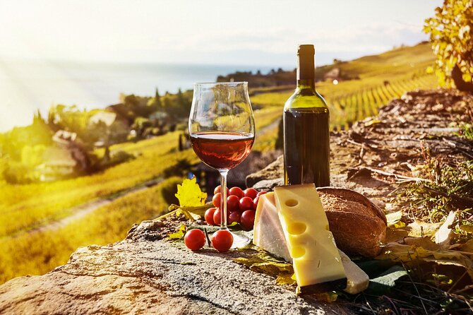 Swiss Wine Tasting at Lavaux Vineyards: Private Trip from Geneva - The private ride from Geneva