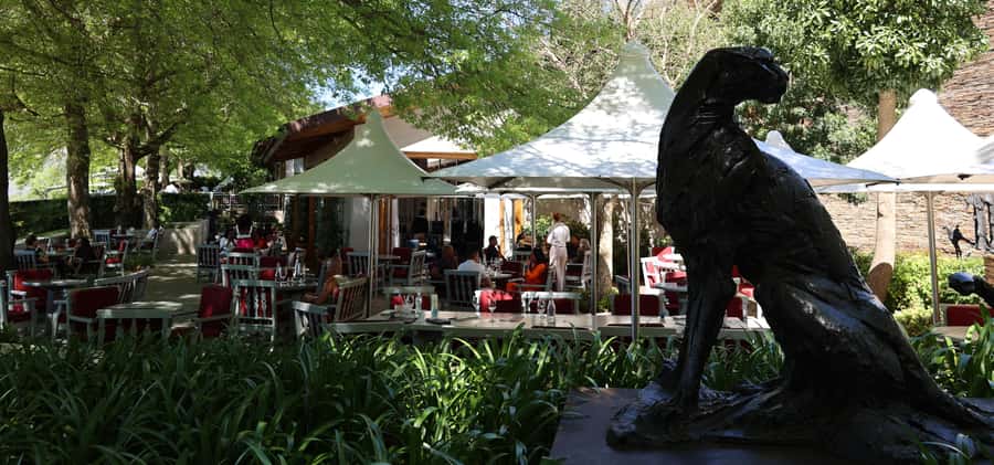 Table Mountain & Constantia Wine Estate Private Combo Tour - Why this Cape Town combination works