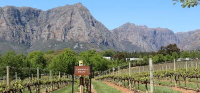 Table Mountain & Constantia Wine Estate Private Combo Tour