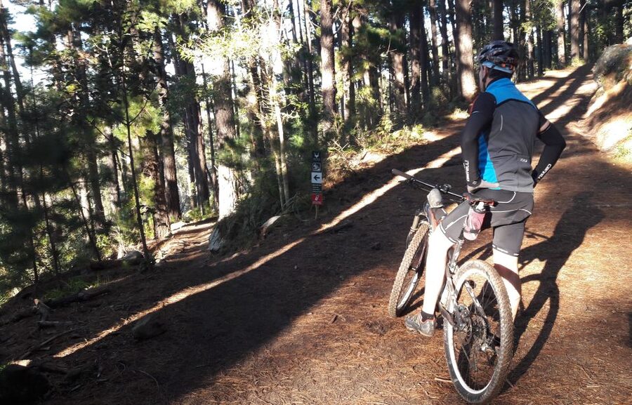 Table Mountain: Mountain Biking to Constantia Wine Estate - Key points at a glance