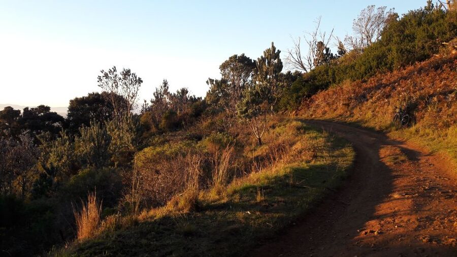 Table Mountain: Mountain Biking to Constantia Wine Estate - The gradual climb toward Kirstenbosch