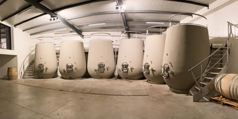 Tain l'Hermitage: Visit two wine estates and a Wine & Food Workshop - Seeing the vines, winery, and barrel cellar