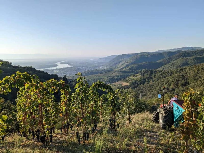 Tain l'Hermitage: Visit two wine estates and a Wine & Food Workshop - What the $116 price includes