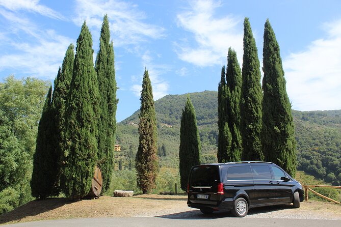 Tasting in a Tuscan Vineyard with transfer from Lucca - Key points at a glance