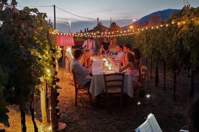 Tasting in a Tuscan Vineyard with transfer from Lucca - Leaving Lucca for the Tuscan hills