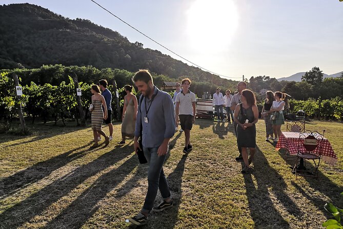Tasting in a Tuscan Vineyard with transfer from Lucca - Inside the cellar with the farmer
