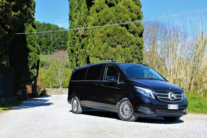 Tasting in a Tuscan Vineyard with transfer from Lucca - Tasting five wines with Tuscan food