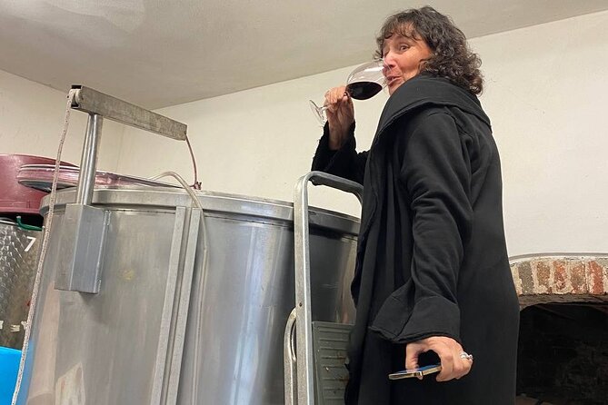 Tasting in a Tuscan Vineyard with transfer from Lucca - Walking among the vines