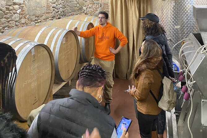 Tasting in a Tuscan Vineyard with transfer from Pisa - From Pisa to the hills near Lucca