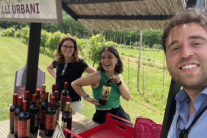 Tasting in a Tuscan Vineyard with transfer from Pisa - The tasting: wine first, food close behind
