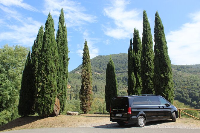 Tasting in a Tuscan Vineyard with transfer from Pisa - From Porta a Lucca into the Tuscan hills