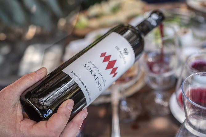 Tasting in the vineyard - A small group, and the chance of a private visit