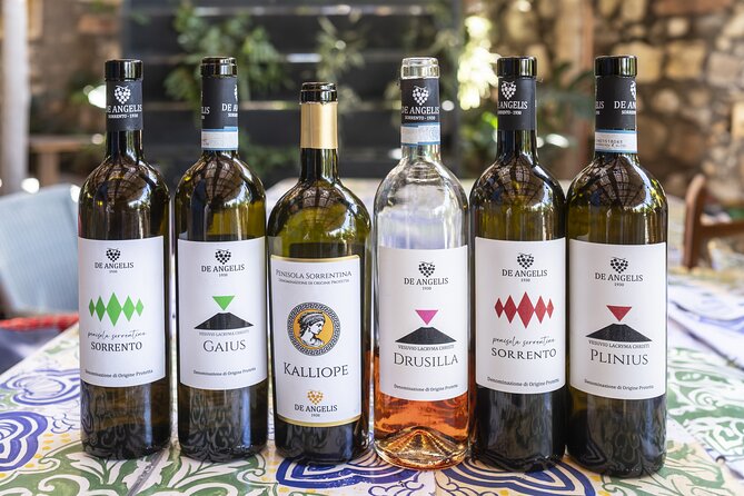 Tasting in the vineyard - The vineyard and the grapes of the Sorrento peninsula