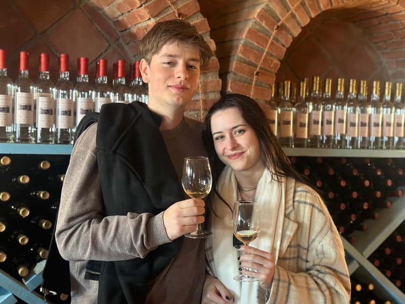 Tbilisi: Kakheti Wine Region Tour with 10 Wine Tastings - The first tasting: a large Kakhetian wine producer