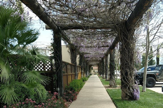 Temecula Valley Wineries and Vineyards Drink and Taste Tour From Orange County - Who will enjoy this day most