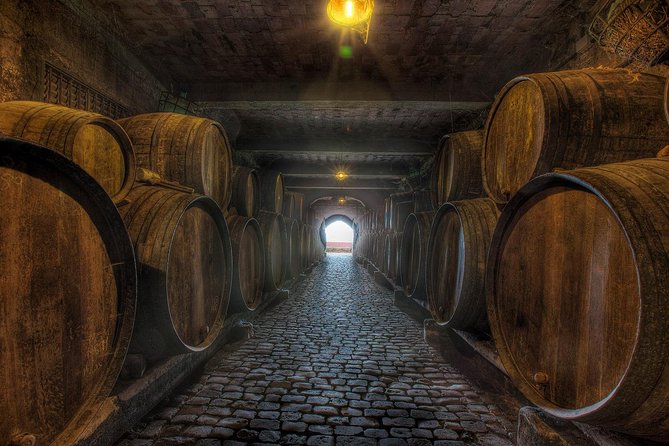 Tenerife Gastronomy Tour with Two Winery Visits and 4-Course Lunch - What the guide adds to the day