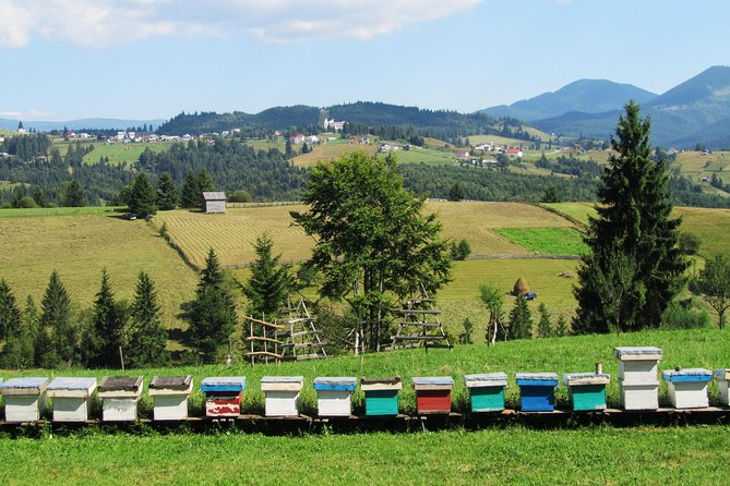 The wine route by bike - Who will enjoy this bike and wine day