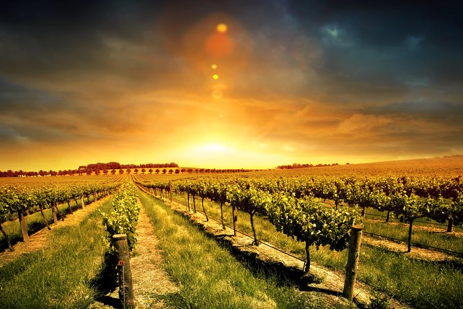 Three Courses Lunch and Wine Tour Through Niagara's Wine Country - A relaxed route from Niagara Falls to wine country