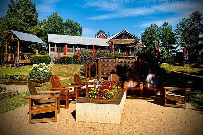 Three Vineyards Half Day Private Wine Tour From Asheville - A Wine Day Built Around the Tryon Foothills