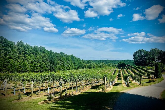 Three Vineyards Half Day Private Wine Tour From Asheville - Ending at Marked Tree Vineyard in Flat Rock