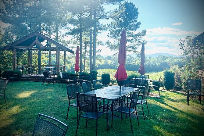 Three Vineyards Half Day Private Wine Tour From Asheville - What the Private Ride Adds