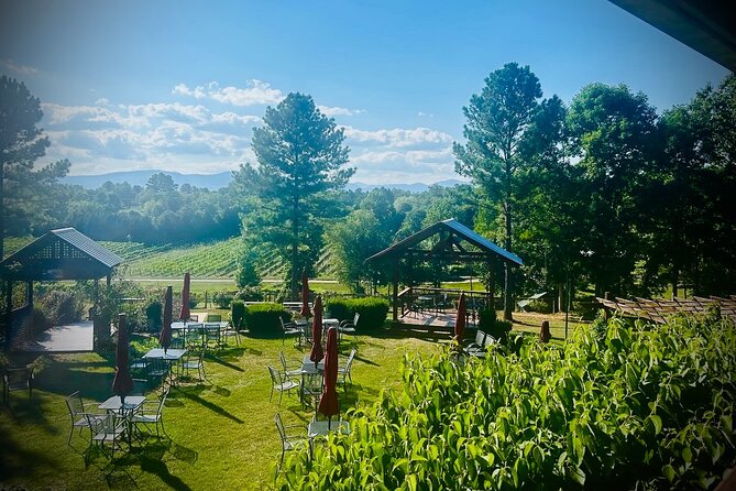 Three Vineyards Half Day Private Wine Tour From Asheville - The Real Cost of the Six-Hour Experience