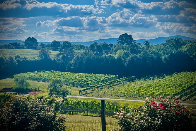 Three Vineyards Half Day Private Wine Tour From Asheville - A Longer Stop at Parker-Binns Vineyard