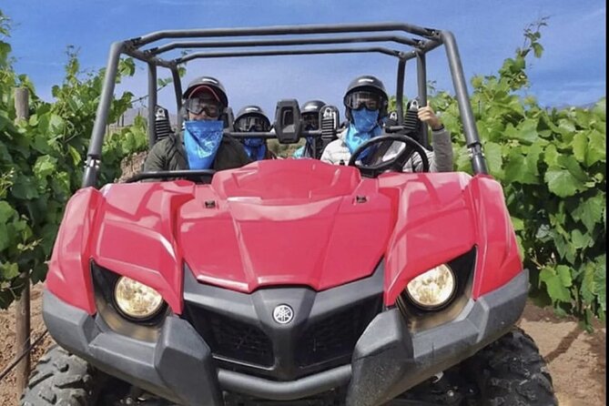 Thrilling ATV Ride Through Vineyards with Port Pickup - Optional stops that can change the pace