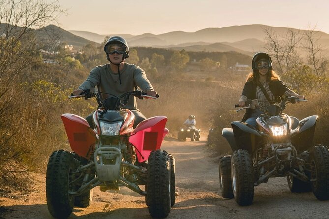 Thrilling ATV Ride Through Vineyards with Port Pickup - How the private format affects value