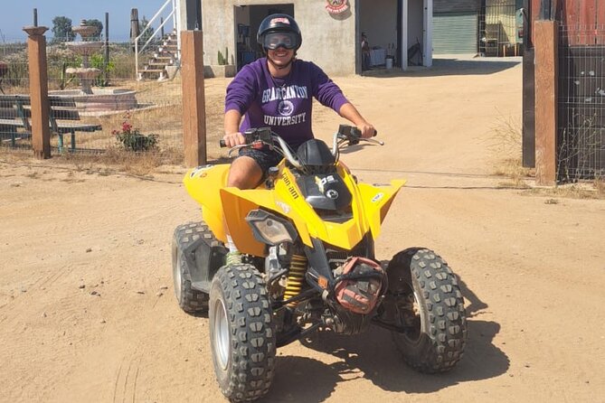 Thrilling ATV Ride Through Vineyards with Port Pickup - Who should book this experience