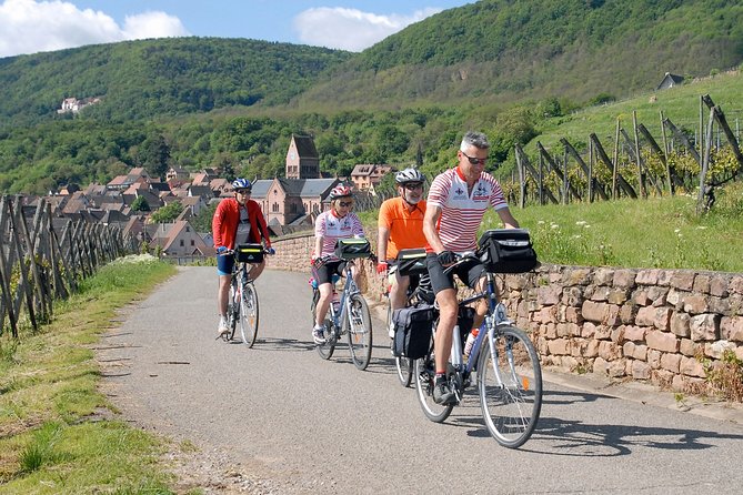 Through Alsace Vineyards and Wine Villages Private Bike Tour - A Vineyard Ride That Shows You the Real Alsace
