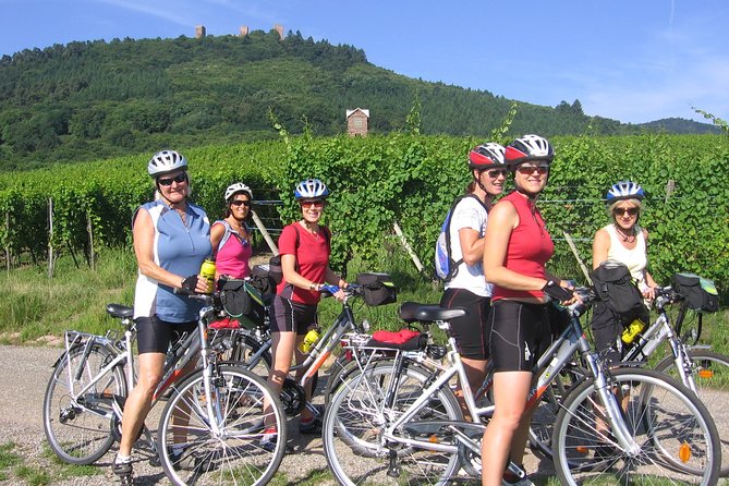 Through Alsace Vineyards and Wine Villages Private Bike Tour - Voegtlinshoffen Wine Tasting