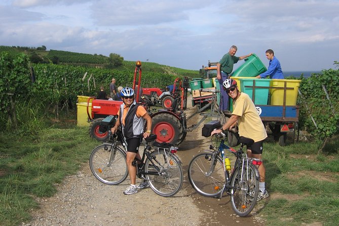 Through Alsace Vineyards and Wine Villages Private Bike Tour - Gueberschwihr and the Church of Saint Pantaleon