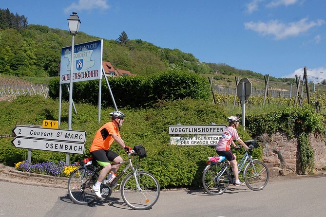 Through Alsace Vineyards and Wine Villages Private Bike Tour - What Is Included for $132.16?