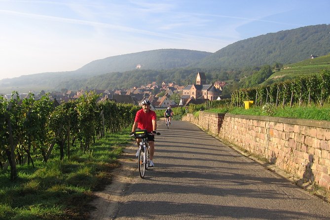 Through Alsace Vineyards and Wine Villages Private Bike Tour - Weather, Fitness, and Timing
