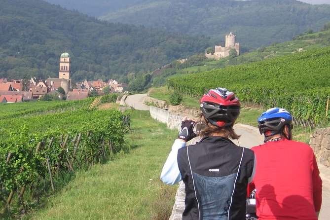 Through Alsace Vineyards and Wine Villages Private Bike Tour - Grand Cru Vineyards by E-Bike