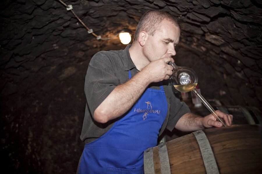 Tokaj: Vineyard Tour & Tasting - Walking the vineyard near Tokaj