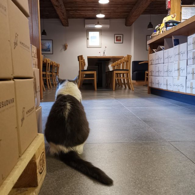 Tokaj: Vineyard Tour & Tasting - What the guide adds to the visit