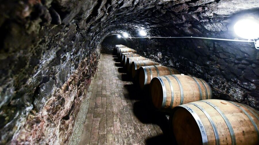 Tokaj: Vineyard Tour & Tasting - Starting with pickup in Tokaj, Tarcal, or Bodrogkeresztúr