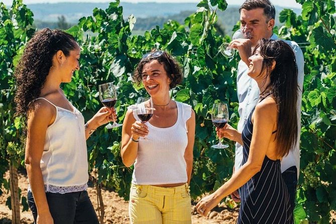 Toledo Tour & Vineyard Walk with Wine Tasting from Madrid - Toledo first, wine later