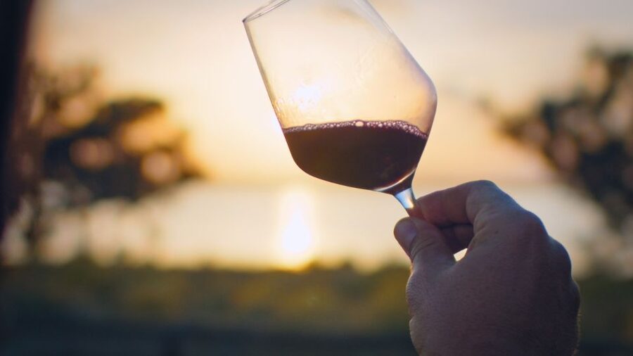 Torrevieja: Local Wine and Food Tasting Tour in La Mata Park - Why La Mata Nature Park makes an unusual tasting room