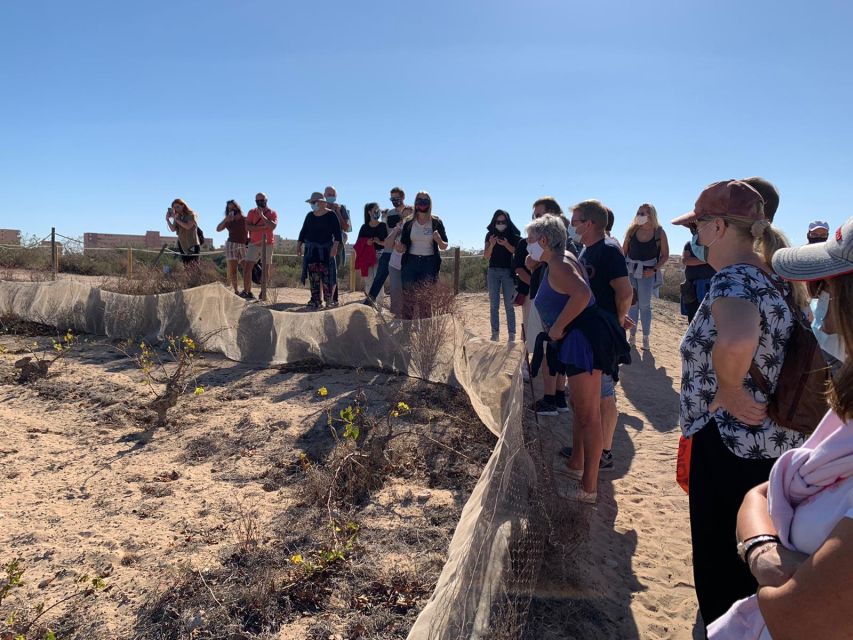 Torrevieja: Local Wine and Food Tasting Tour in La Mata Park - What arrives at the tasting table